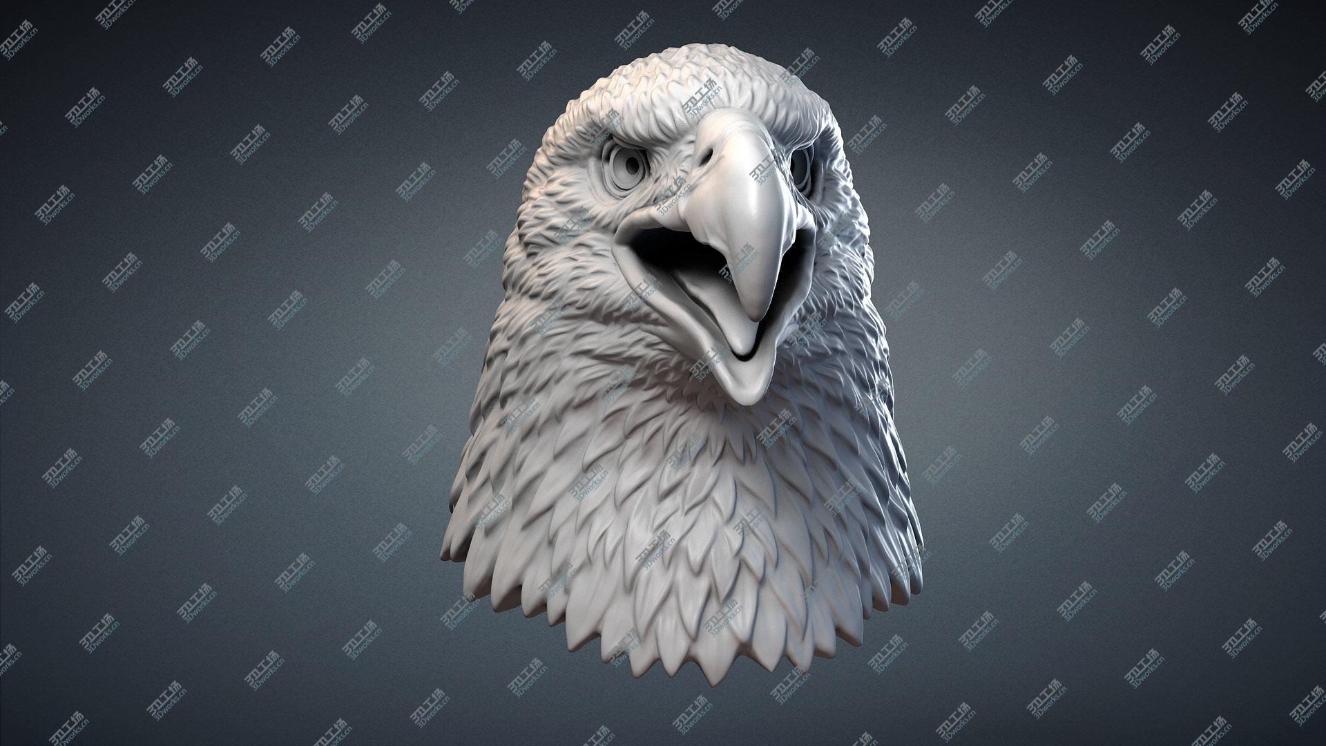 images/goods_img/2021040163/3D Bald Eagle Head Sculpture model/3.jpg